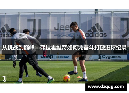 从挑战到巅峰：弗拉霍维奇如何凭奋斗打破进球纪录