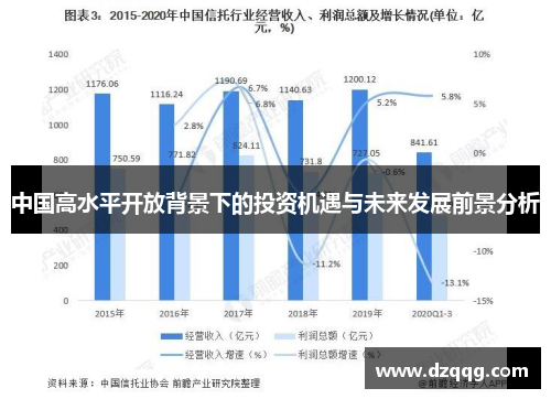 中国高水平开放背景下的投资机遇与未来发展前景分析