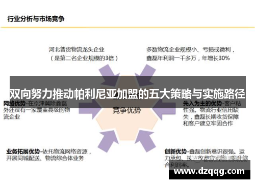 双向努力推动帕利尼亚加盟的五大策略与实施路径