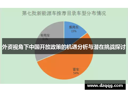 外资视角下中国开放政策的机遇分析与潜在挑战探讨