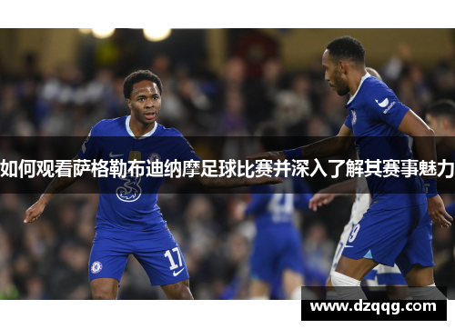 如何观看萨格勒布迪纳摩足球比赛并深入了解其赛事魅力