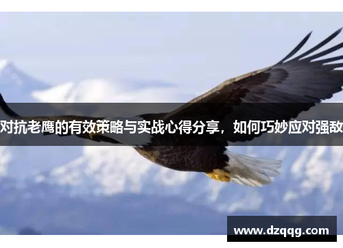 对抗老鹰的有效策略与实战心得分享，如何巧妙应对强敌
